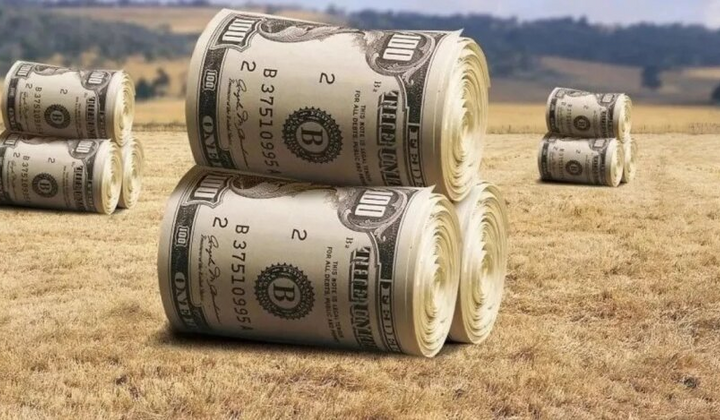 Льготники, которые не платят налог