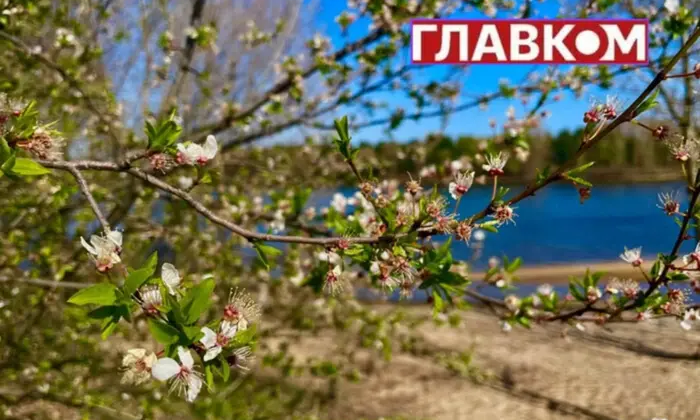 Солнечная погода на фоне летнего пейзажа