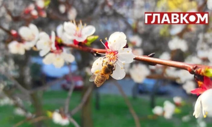 Прогноз дощу на 10 травня