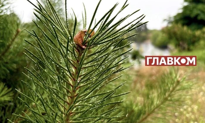 Диденко рассказывает о ожидаемом похолодании