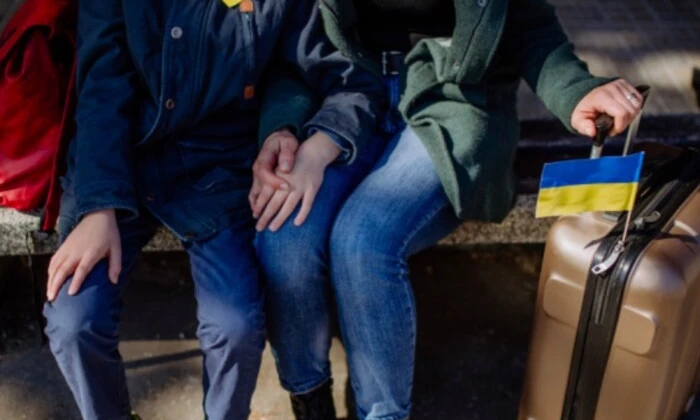 Біженці з роботою в Україні