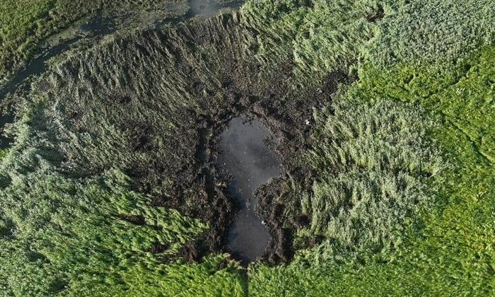 ДБР розслідує падіння літака на Волині