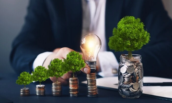 Выплата долгов зеленым инвесторам