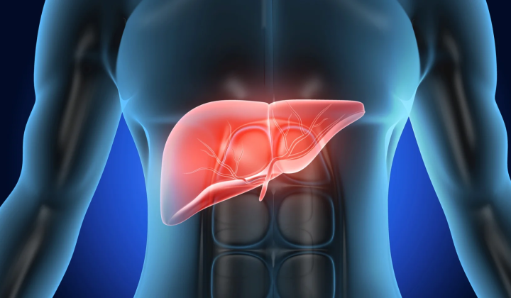 Japanese Scientists Link Low Testosterone and High Fructose Intake to Increased Liver Fat Accumulation