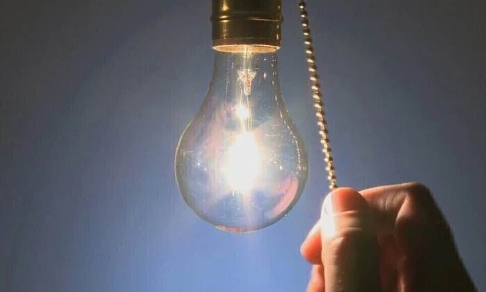 Обезьяна в трансформаторе вызвала отключение света