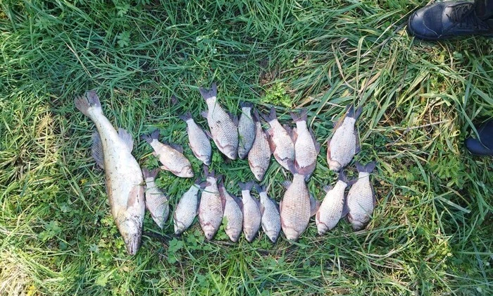 Рибалка-браконьєр на Вінниччині