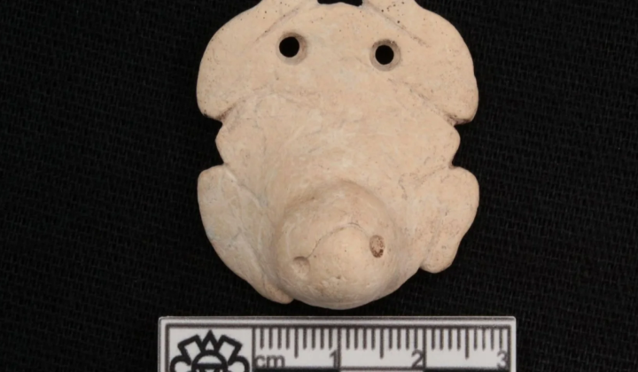 Archaeology zoomorphic pendants and shells