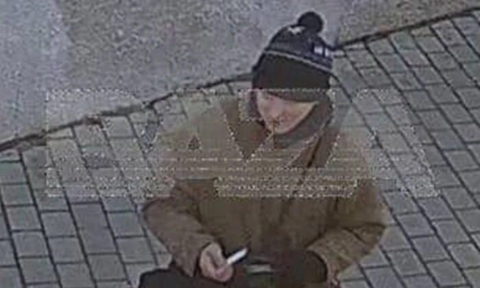 Турист бросает местную кошку из Ласточкиного гнезда