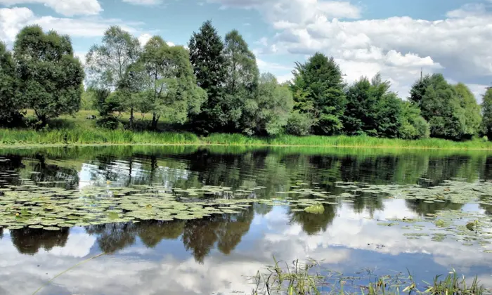 Катастрофа природи України: наслідки академіками пояснюють