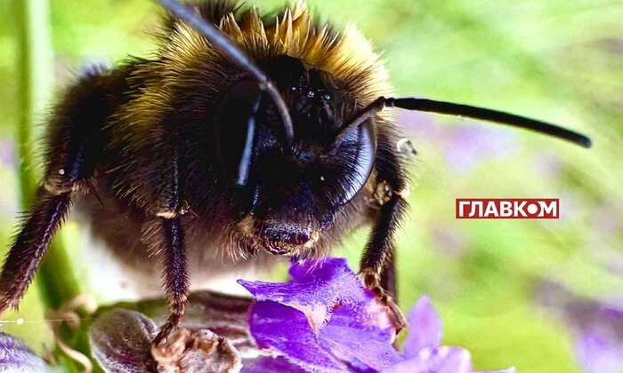 Дождит в Украине 22 июля