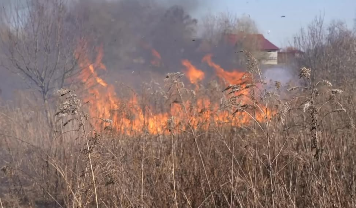 Пожежа на Волині: вогонь рушил до обійсть