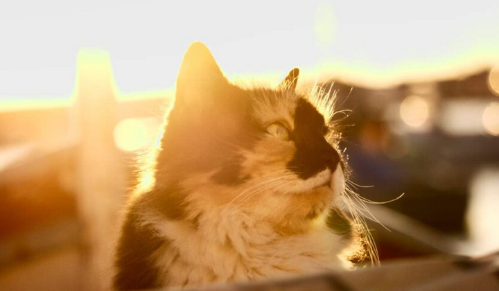 Приключение погоды в Украине