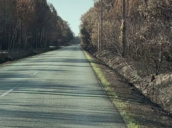 Французы встречают украинских спасателей