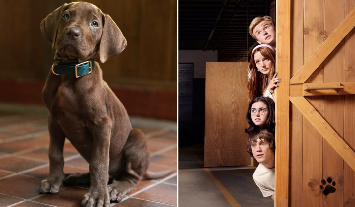 Netflix logo and Scooby-Doo Origins text