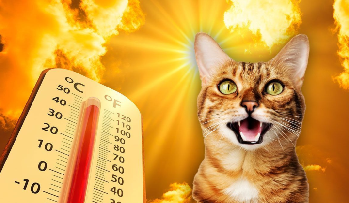 Image portraying the Mighty El Niño