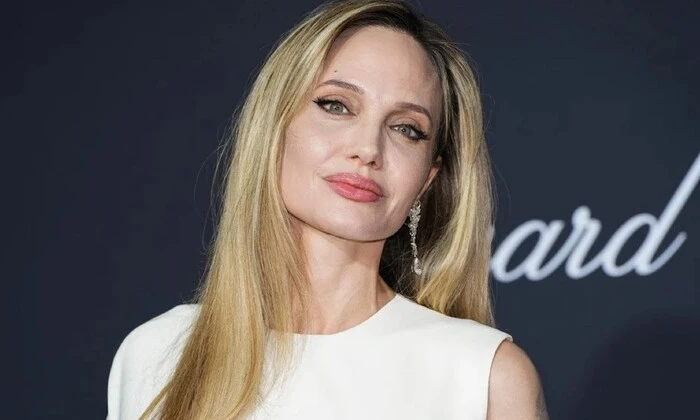 Анджеліна Джолі вимовляє промову в Каннах