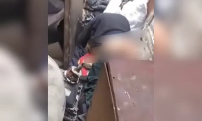 Докази з ґвалтування собаки вилучено