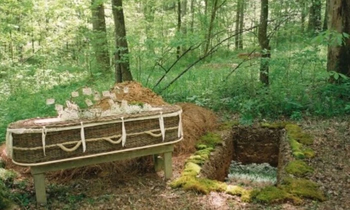 Тренд на зелені поховання в США