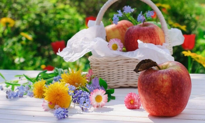 Apple Spas 2025: traditions and rituals