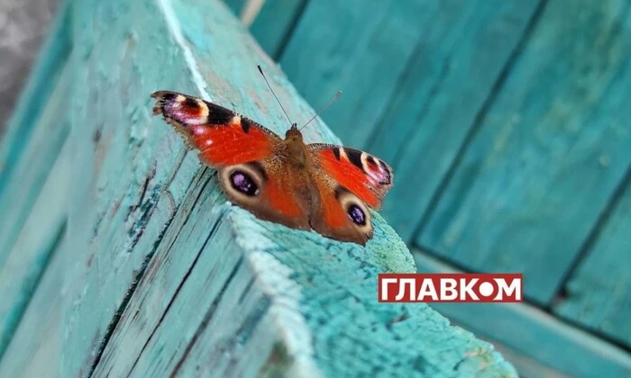 Без опадів: погода на 27 серпня