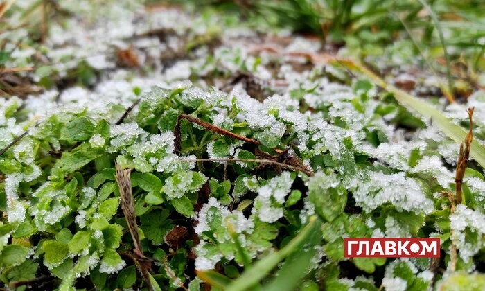 Прогноз погоды на зимние куртки