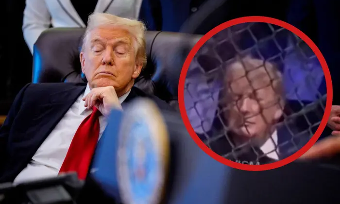 Трамп заснув на турнірі UFC