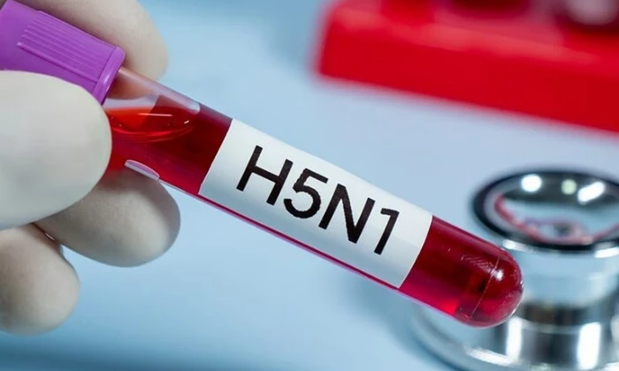 Вирус новой пандемии может вызвать