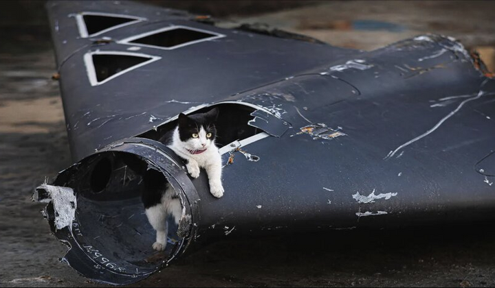 Німецькі компанії фінансують війну через податки