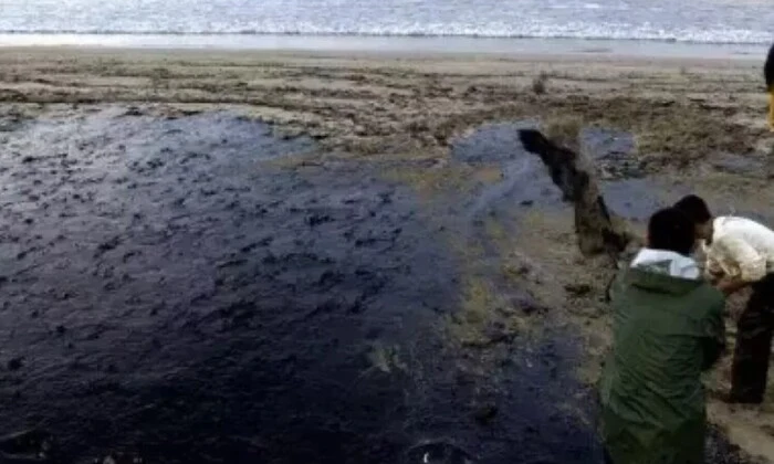 Пляжі країни закриті через розлив нафти