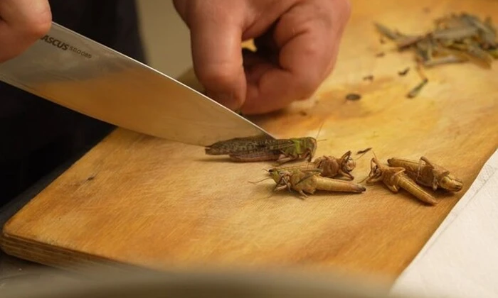 Сарана на тарілці прикрашає страву