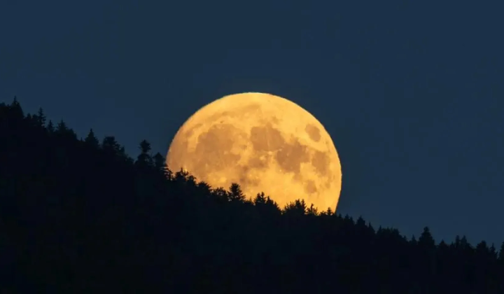 Moon in the shape of a deer in the picture