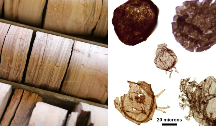 Australian fossils 1.7 billion years old