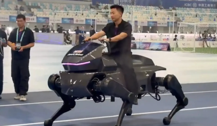Chinese startup presents robot-horse for riders