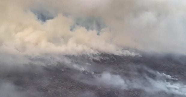 Пожежі загрожують наскельним малюнкам в Індонезії