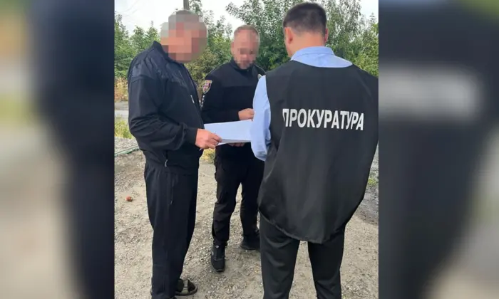 Officials interfering in illegal logging