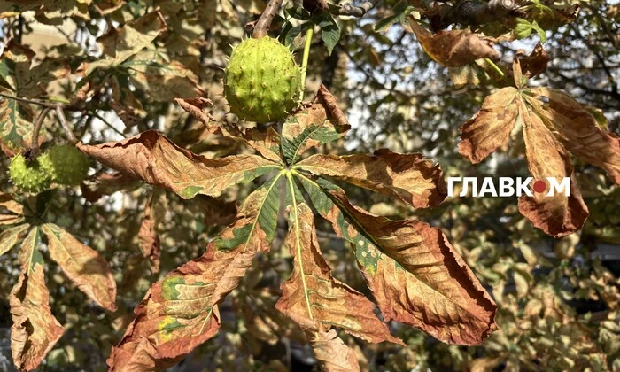 Погода на 20 сентября 2025