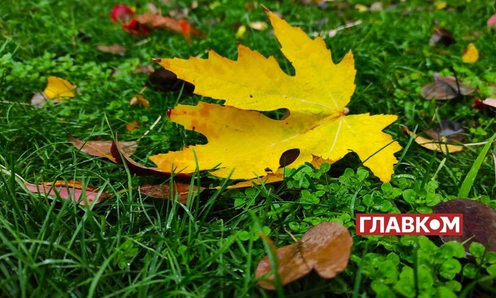 Хмарно з проясненнями в Україні