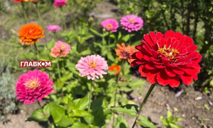 Облака и дождь 4 сентября