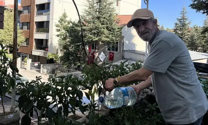 Small town with 200 plants