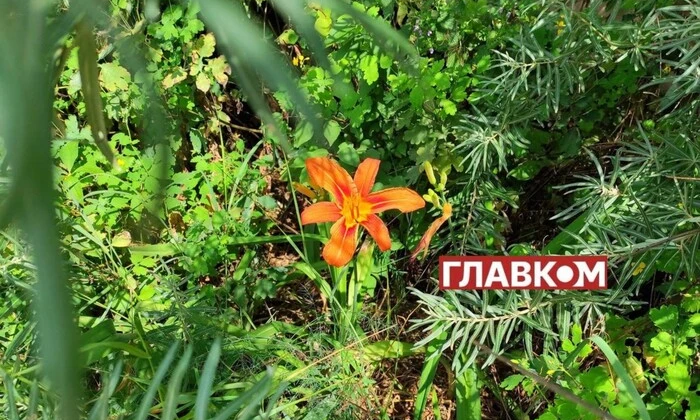 Без осадков: погода на 2 августа