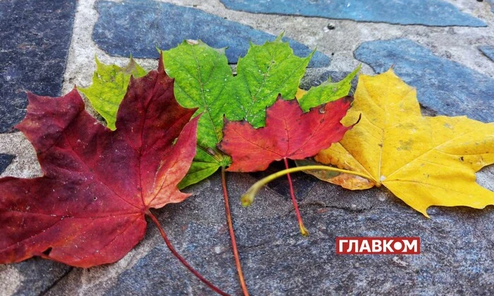 Синоптик рассказывает о температуре в октябре