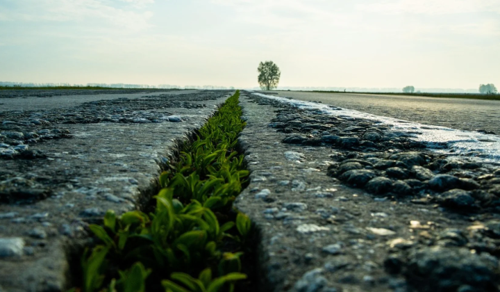 Vegetation pushed to infinite date