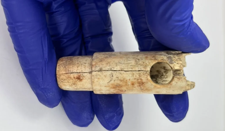 Перший музичний інструмент Трої — кістяна флейта