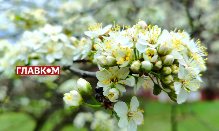 Хмарність над Україною 22 квітня