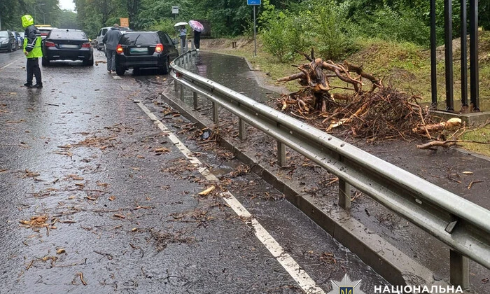 Дорожньо-транспортна пригода поблизу Львова