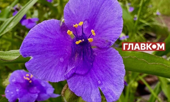 Прогноз погоди на 1 вересня