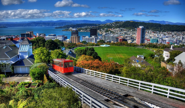 Українські біженці в Новій Зеландії