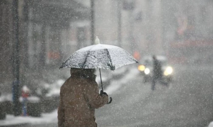 Снежинки на фоне зимнего пейзажа