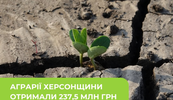 Посіви пошкоджені: аграрії отримали компенсацію