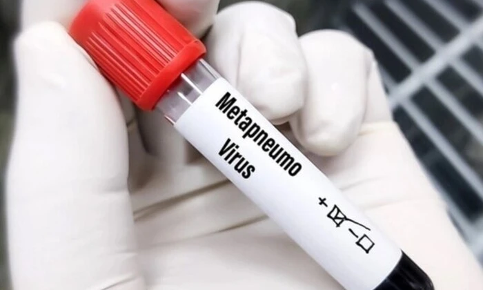 Заявление ВОЗ на фоне угрозы метапневмовирусной инфекции